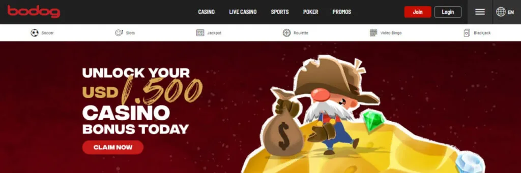 Bodog casino